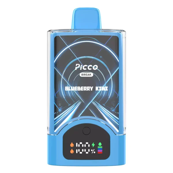 Picco Break 30000 Puffs  - Blueberry Kiwi