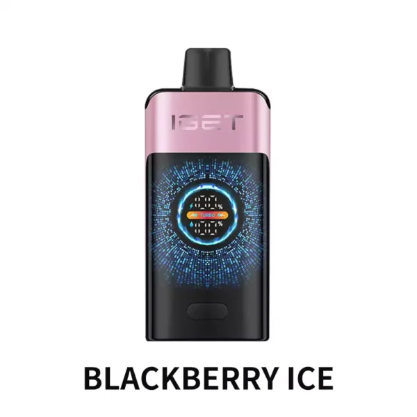 IGET ONE 12000 Puffs - Blackberry Ice