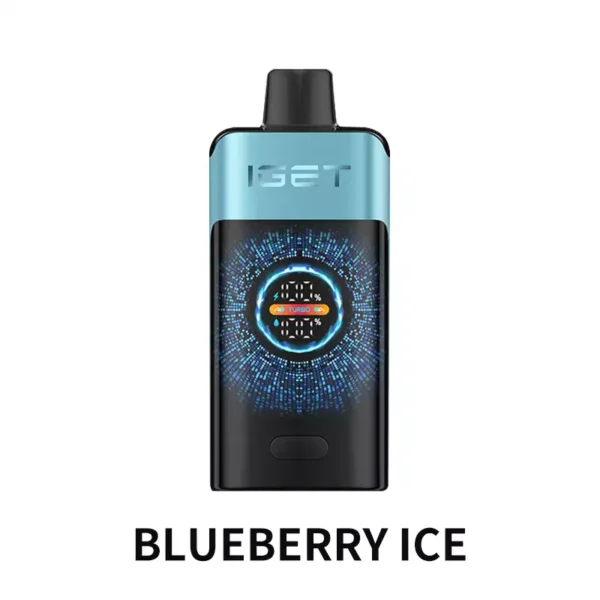 IGET ONE 12000 Puffs - Blueberry Ice