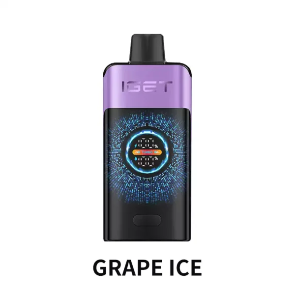 IGET ONE 12000 Puffs - Grape Ice