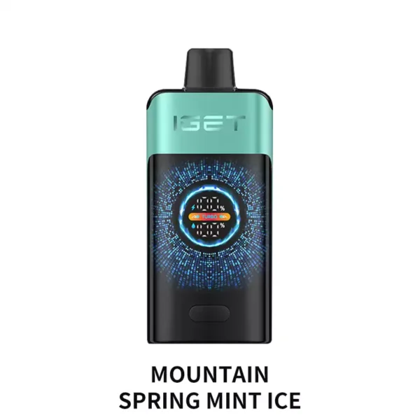 IGET ONE 12000 Puffs - Mountain Spring Mint Ice