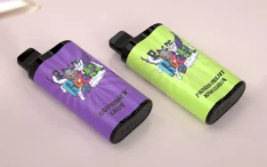 Top 10 Disposable Vapes in Australia for 2025: A Comprehensive List –  OZVAPESHOP