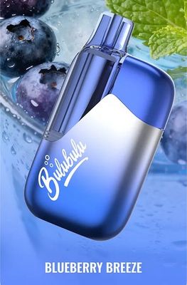 How to Properly Store Your BULUBULU 15000 for Maximum Taste