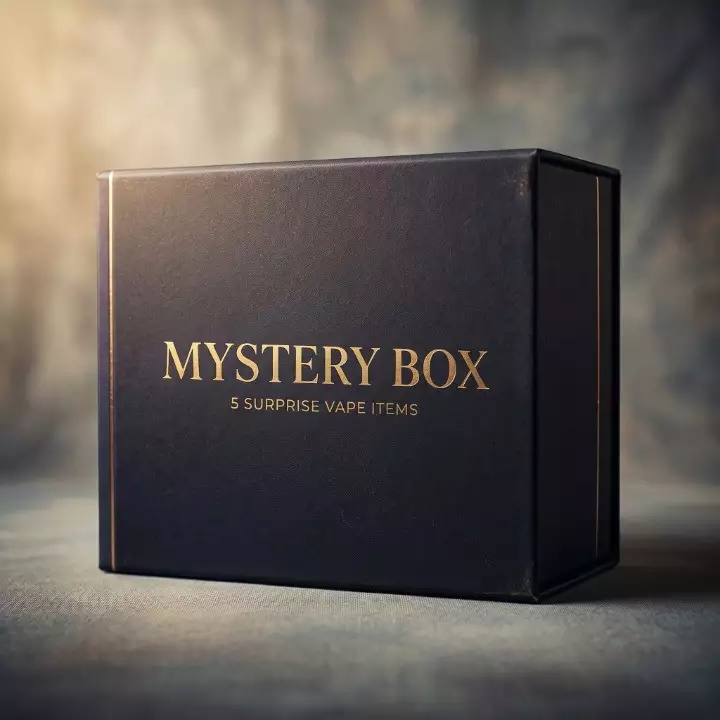 vape mystery box VUSE GO 1000 Puffs - Blueberry Ice (20mg/ml)